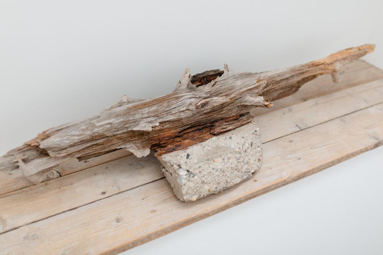 Haus Salz&Sand Luettje Tide Norderney Ngoại thất bức ảnh